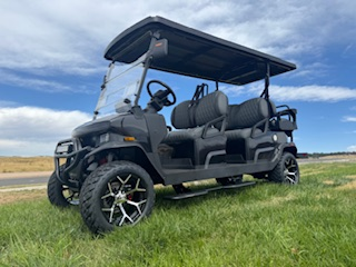 Denago EV Rover XL6 - Black