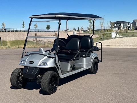 2017 Star Classic 4+2 Silver Lead-Acid 6 Passenger Electric