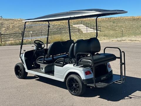 2017 Star Classic 4+2 Silver Lead-Acid 6 Passenger Electric